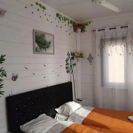 Apartamento Tasos Acharavi (Corfu)